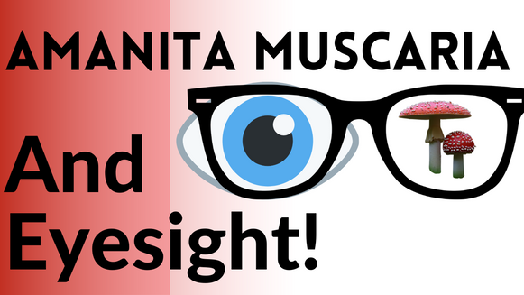 Amanita muscaria & Eyesight